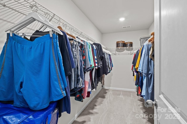 169 Rooster Tail Ln, Troutman, NC 28166 - walk in closet featuring carpet
