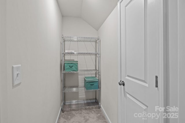 169 Rooster Tail Ln, Troutman, NC 28166 - view of storage area