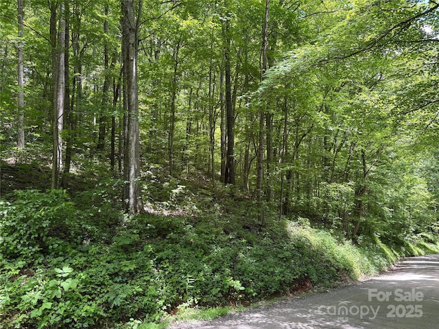 TBD Upward Way 236 & 237, Waynesville, NC 28785