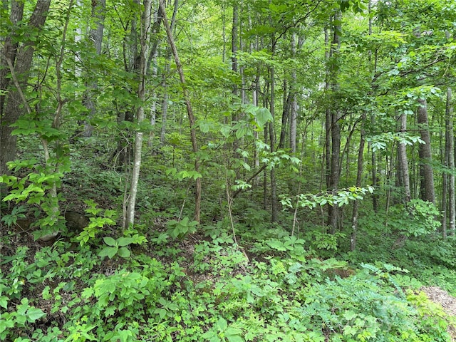 TBD Upward Way 236 & 237, Waynesville, NC 28785