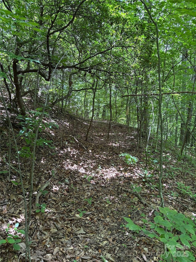 TBD Upward Way 236 & 237, Waynesville, NC 28785