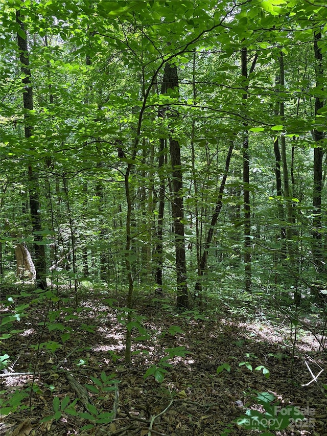 TBD Upward Way 236 & 237, Waynesville, NC 28785