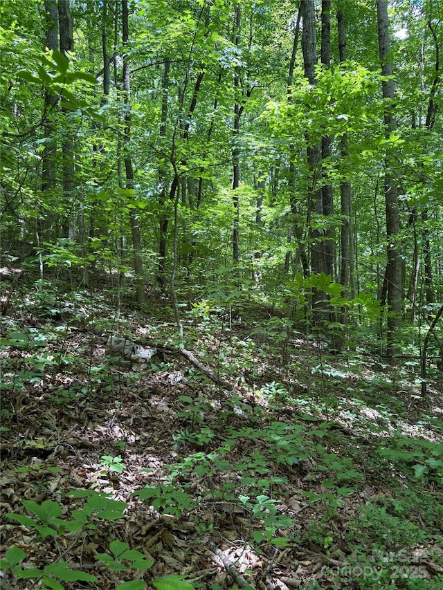 TBD Upward Way 236 & 237, Waynesville, NC 28785