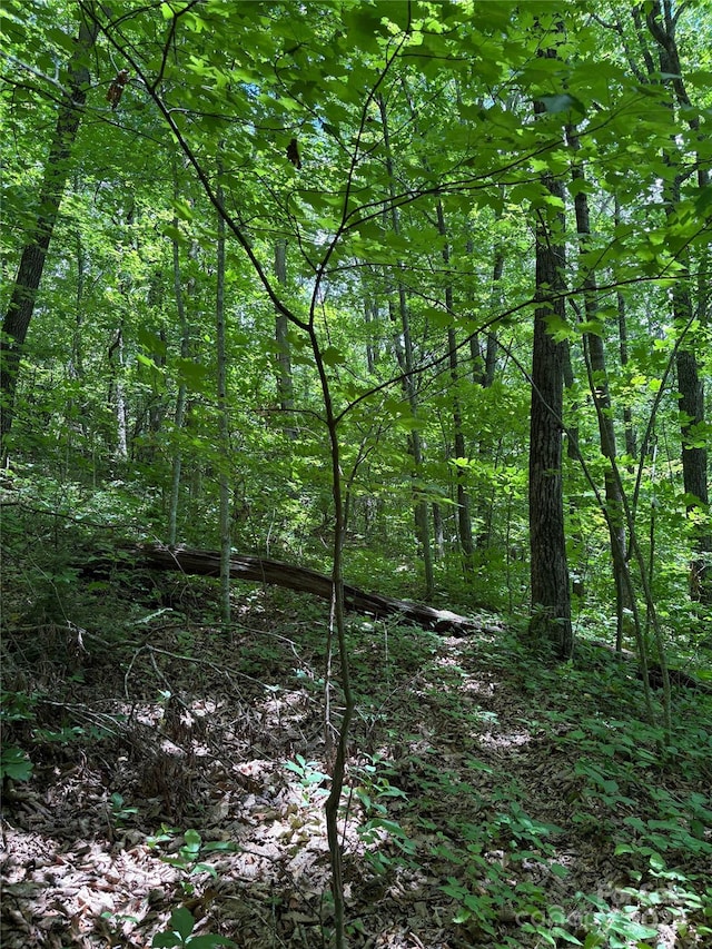 TBD Upward Way 236 & 237, Waynesville, NC 28785