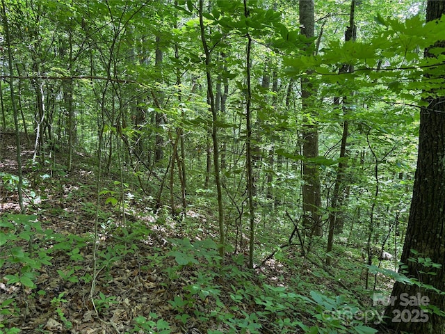 TBD Upward Way 236 & 237, Waynesville, NC 28785