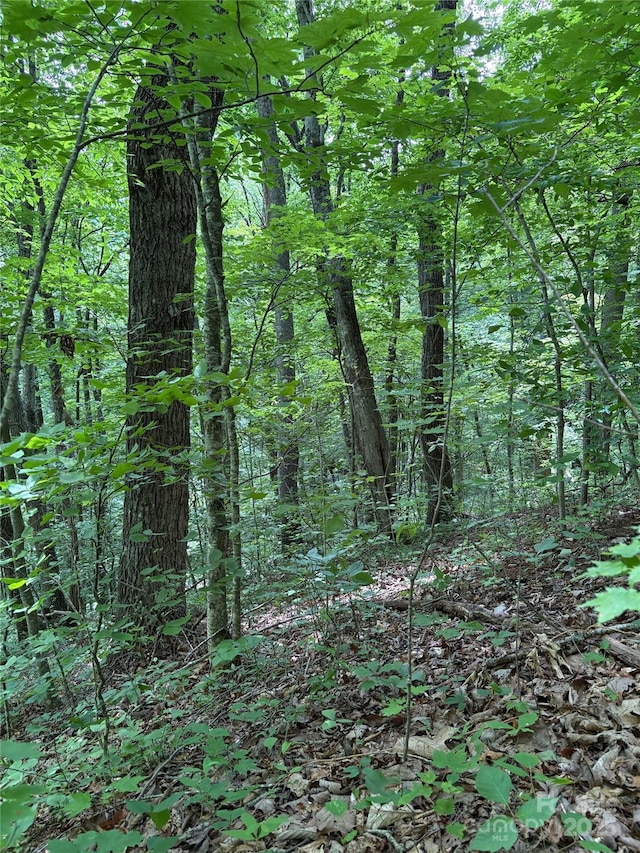 TBD Upward Way 236 & 237, Waynesville, NC 28785