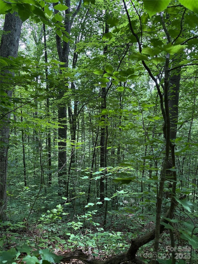TBD Upward Way 236 & 237, Waynesville, NC 28785