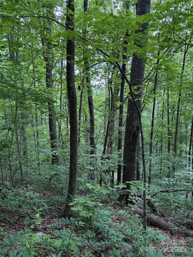 TBD Upward Way 236 & 237, Waynesville, NC 28785