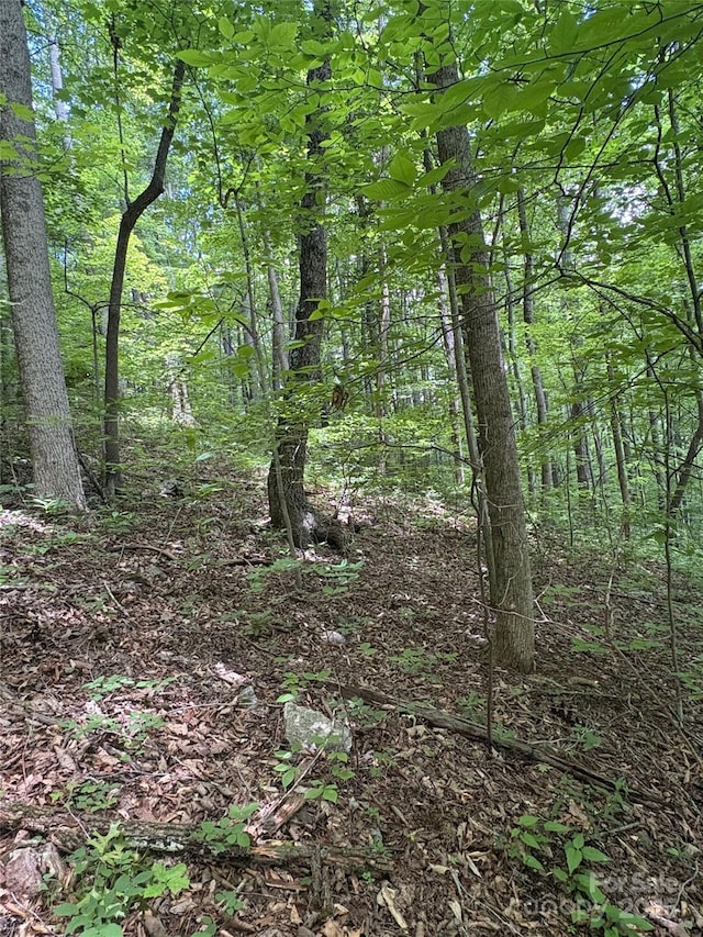 TBD Upward Way 236 & 237, Waynesville, NC 28785