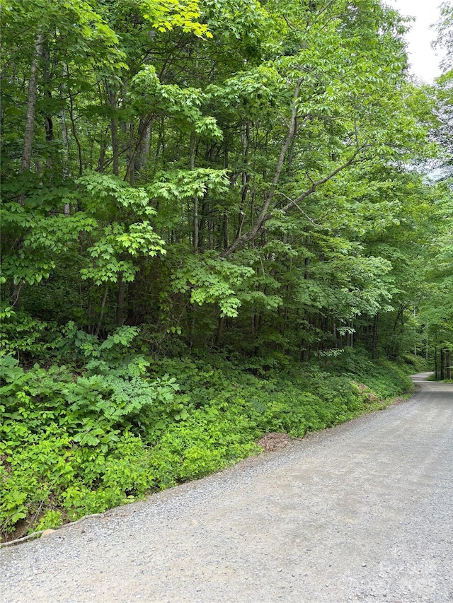 TBD Upward Way 236 & 237, Waynesville, NC 28785