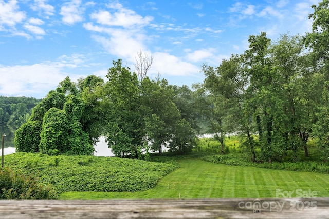 5192 Corbin Ln, Hickory, NC 28601 - view of green lawn