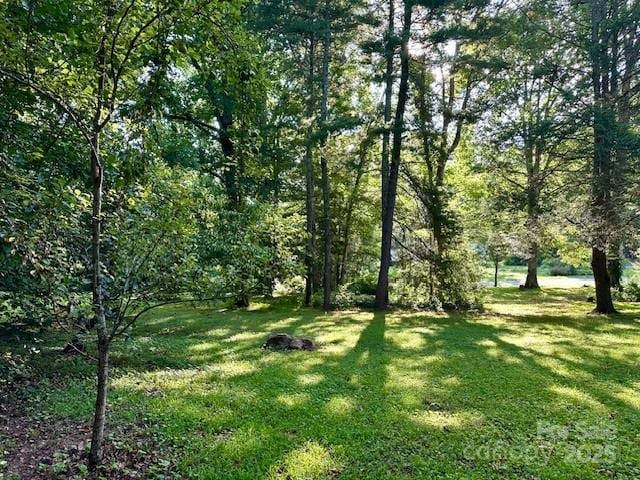 99999 Emmas Grove Rd, Fletcher, NC 28732