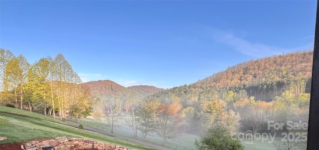 207 Comanche Rd, Cullowhee, NC 28723 - photo 41