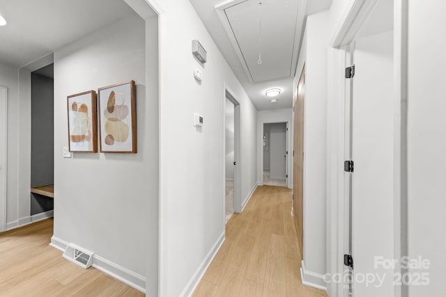 3519 Campbell Dr, Charlotte, NC 28205 - corridor with attic access and light wood-style floors