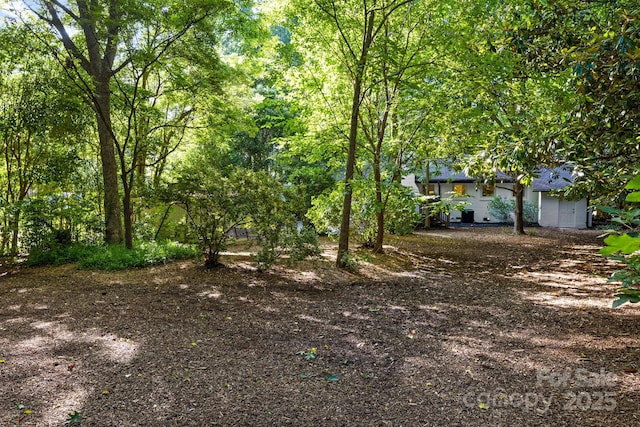 3519 Campbell Dr, Charlotte, NC 28205 - view of yard