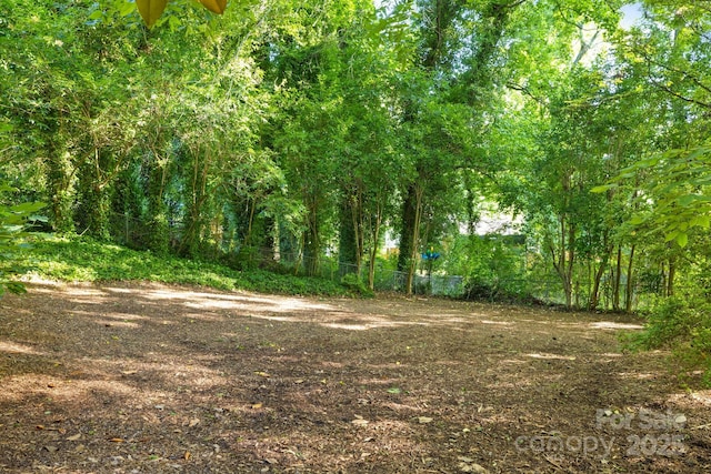 3519 Campbell Dr, Charlotte, NC 28205 - view of nature