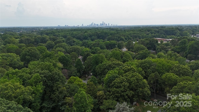 3519 Campbell Dr, Charlotte, NC 28205 - drone / aerial view of a forest