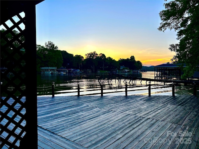 143 Uwharrie Ct Unit 1080, 1081, Mount Gilead, NC 27306 - dock featuring a water view
