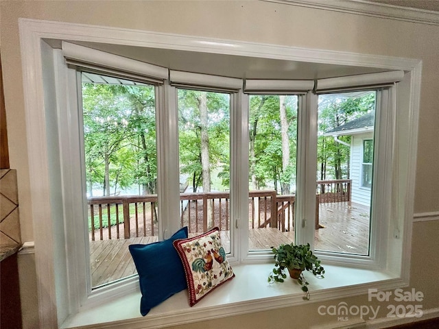 143 Uwharrie Ct Unit 1080, 1081, Mount Gilead, NC 27306 - view of entryway