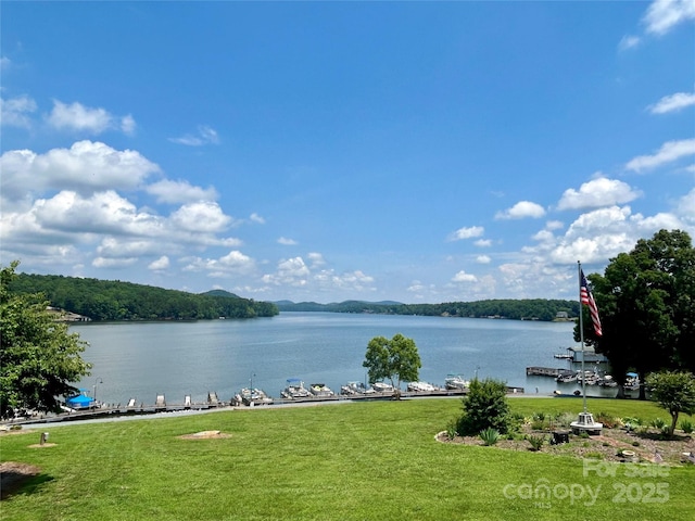 143 Uwharrie Ct Unit 1080, 1081, Mount Gilead, NC 27306 - water view