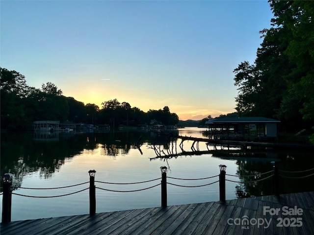 143 Uwharrie Ct Unit 1080, 1081, Mount Gilead, NC 27306 - dock with a water view