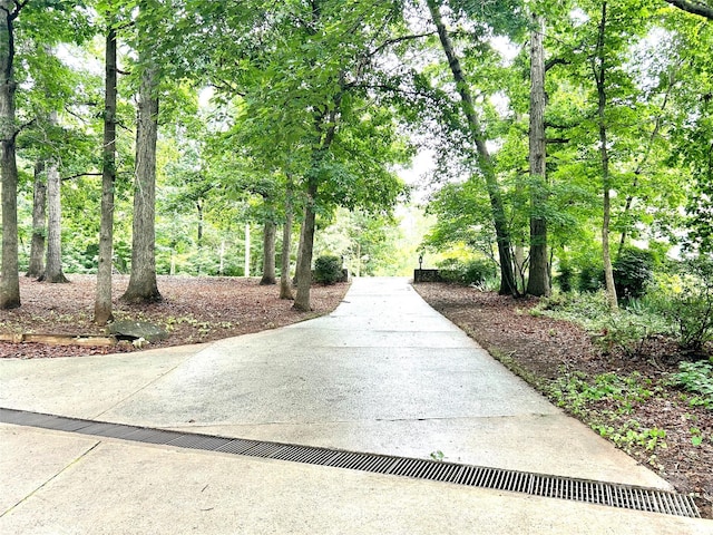 143 Uwharrie Ct Unit 1080, 1081, Mount Gilead, NC 27306 - view of community