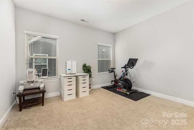 3332 Katherine Taylor Ct, Monroe, NC 28110 - exercise area with light colored carpet and baseboards