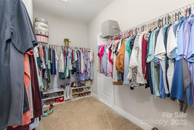 3332 Katherine Taylor Ct, Monroe, NC 28110 - spacious closet featuring carpet
