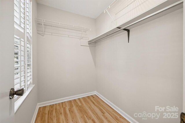 4911 Rivergreen Ln, Charlotte, NC 28227 - photo 27