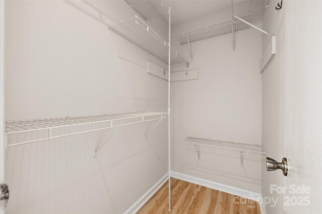 4911 Rivergreen Ln, Charlotte, NC 28227 - photo 29