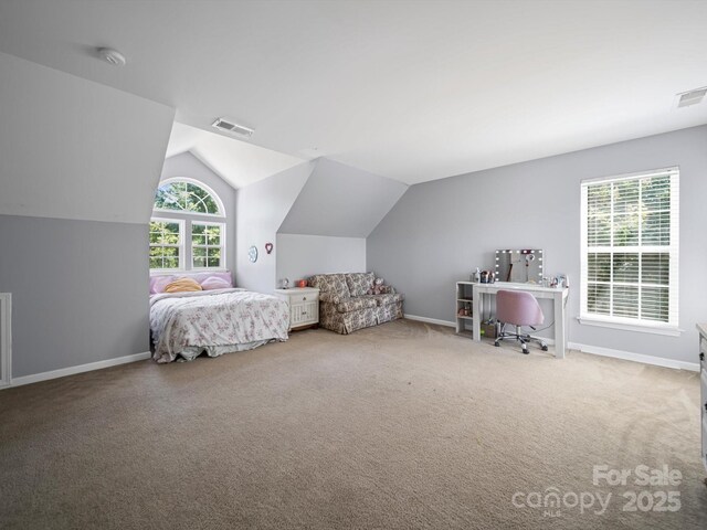 3301 Old Knobbley Oak Dr, Gastonia, NC 28056 - photo 16