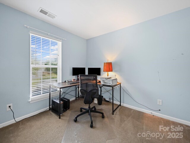 3301 Old Knobbley Oak Dr, Gastonia, NC 28056 - photo 23