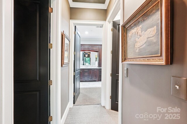 229 N Church St Unit 401, Charlotte, NC 28202 - corridor with ornamental molding and carpet flooring