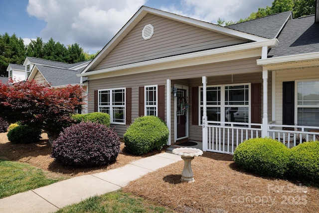 409 Guiness Pl, Rock Hill, SC 29730 - photo 1