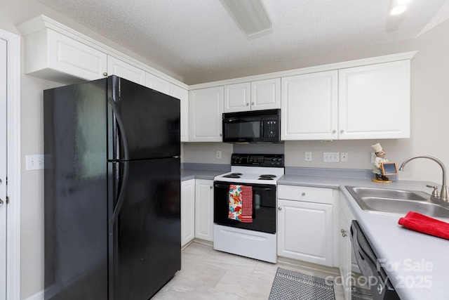 409 Guiness Pl, Rock Hill, SC 29730 - photo 6