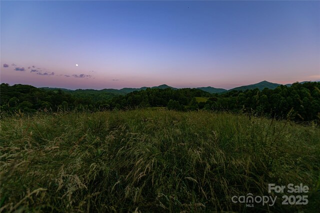 523 Lower Paw Paw Rd, Marshall, NC 28753 - photo 2