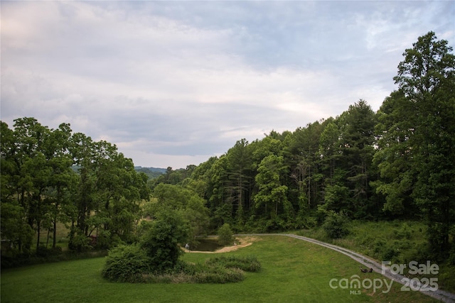 523 Lower Paw Paw Rd, Marshall, NC 28753 - photo 23