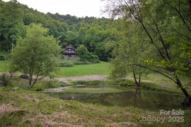 523 Lower Paw Paw Rd, Marshall, NC 28753 - photo 24