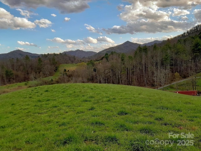 523 Lower Paw Paw Rd, Marshall, NC 28753 - photo 25
