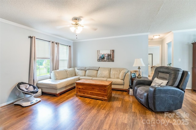 1828 Pine Hollow Pl, Hudson, NC 28638 - living area with wood finished floors, a textured ceiling, ceiling fan, and ornamental molding