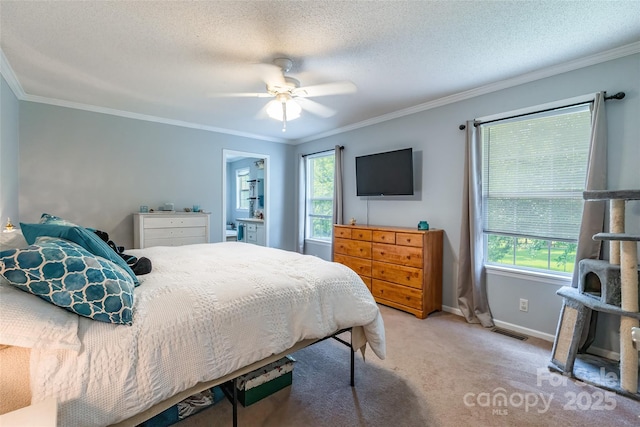 1828 Pine Hollow Pl, Hudson, NC 28638 - bedroom featuring carpet, crown molding, a textured ceiling, and a ceiling fan