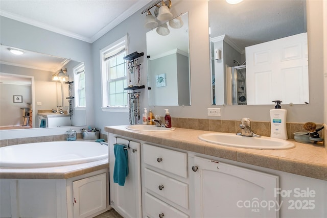 1828 Pine Hollow Pl, Hudson, NC 28638 - full bath with double vanity, a bath, ornamental molding, and a shower stall