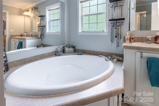1828 Pine Hollow Pl, Hudson, NC 28638 - bathroom with crown molding, a garden tub, vanity, and a shower stall