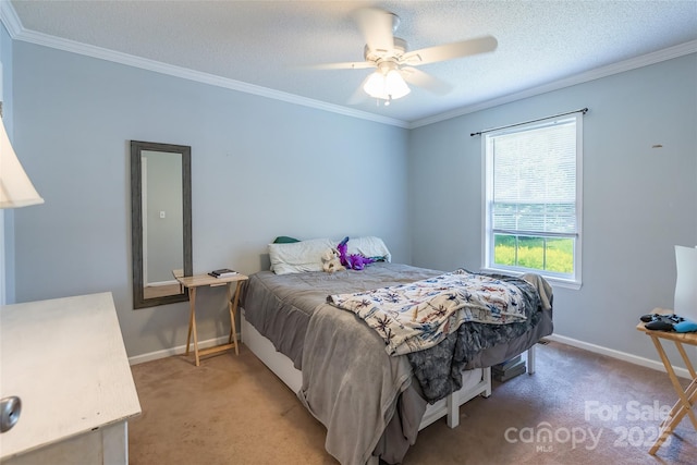 1828 Pine Hollow Pl, Hudson, NC 28638 - bedroom featuring light carpet, ornamental molding, a ceiling fan, and a textured ceiling