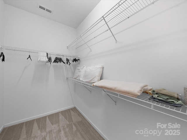 12415 Stratfield Place Cir, Pineville, NC 28134 - spacious closet with carpet flooring