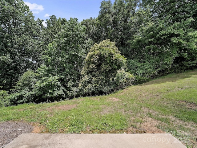 12415 Stratfield Place Cir, Pineville, NC 28134 - view of yard