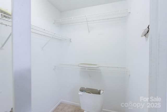 203 Hickory Wood Dr, Kannapolis, NC 28083 - view of spacious closet