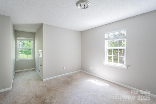 203 Hickory Wood Dr, Kannapolis, NC 28083 - empty room with plenty of natural light, carpet flooring, and a textured ceiling