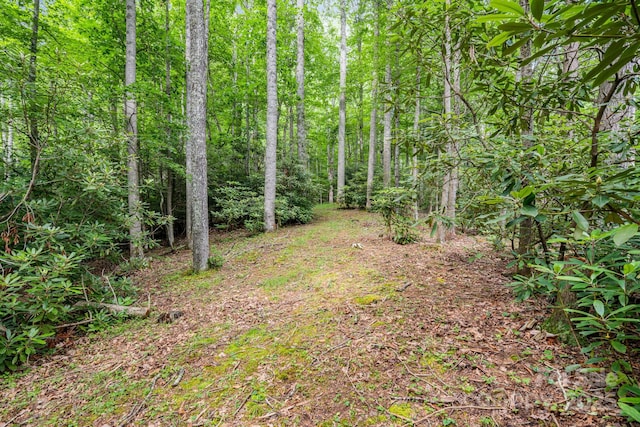 79 Creekside Ln, Spruce Pine, NC 28777 - view of woods