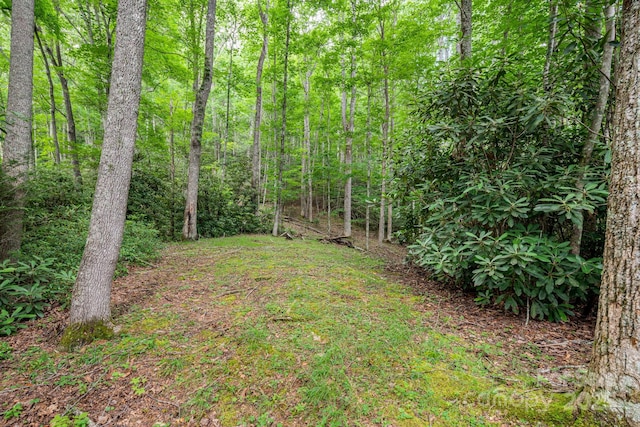 79 Creekside Ln, Spruce Pine, NC 28777 - view of yard featuring a wooded view